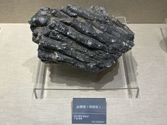 -安徽省地质博物馆