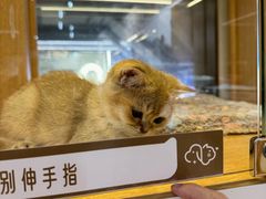 -天河体育中心