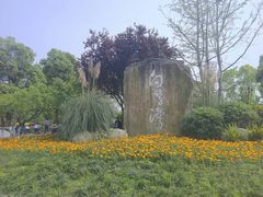 -白鹭湾湿地公园