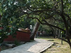 -普陀宗乘之庙(小布达拉宫)