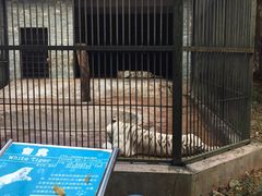 -广东茂名森林公园