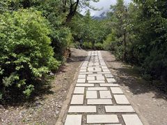 -米堆冰川