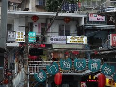 -猫咪博物馆(顶澳仔猫街店)