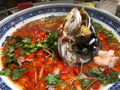 -湘潭九龙鱼头店(城南西路店)