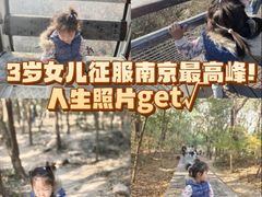 -紫金山山顶公园