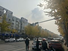 -大邑李记肥肠血旺