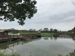 -水八仙生态园