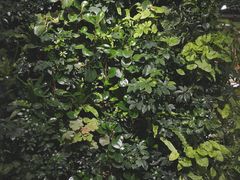 -鹿岛会员店 (龙湖三千集天街店)