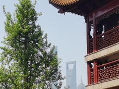 -钦赐仰殿道观