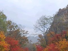 -大连天门山国家森林公园