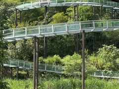 -龙井峡漂流