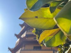 -海天禅寺