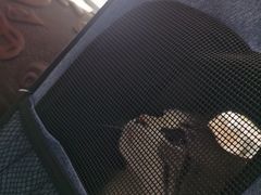 -暖阳宠物医院·犬猫康复中心·骨科