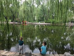 -玲珑塔公园