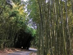 -苏州河梦清园环保主题公园