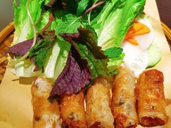 越南春卷-大头虾越式风味餐厅(光明广场店)