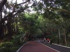 -南宁南湖公园