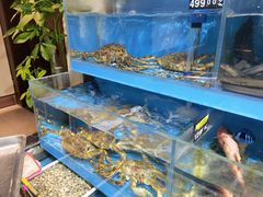 水产区-臻悦海宴.家宴(奥体中心店)