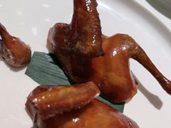 金奖玻璃乳鸽-茉里粤菜(皇姑万象汇店)