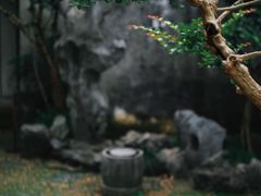 -耦园