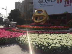 -新湖明珠城