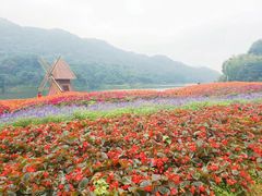-广州市石门国家森林公园