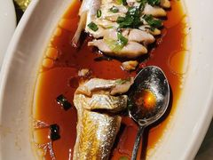 -金美华轩(东方路齐鲁店)