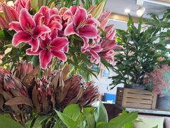 -春暖花开(西溪店)