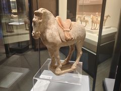 -隋唐大运河文化博物馆