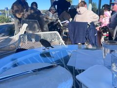 -Takapuna Beach Cafe