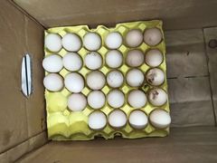 -长城大酒店-自助餐厅