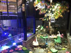 -彭厨(常州店)