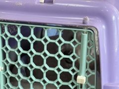 -渲嗳动物医院(异宠·复杂内科转诊中心·玖洲道富华里分院)