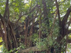 -台山颐和温泉城