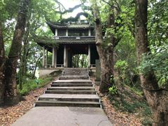 -蒋氏故居