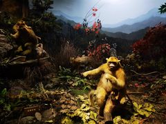 -陕西自然博物馆