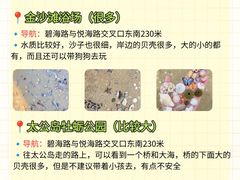 -日照灯塔风景区