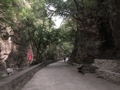-北京上方山国家森林公园