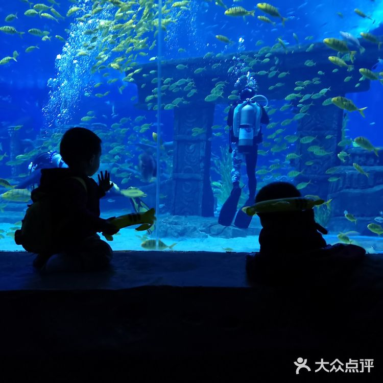 #昆明亲子游#99块玩转融创海世界!