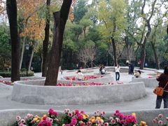 -中山公园