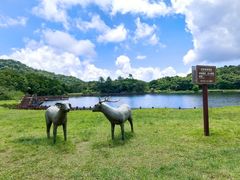 -海南热带雨林国家公园吊罗山景区