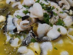 -粗茶淡饭•陕菜•家常菜