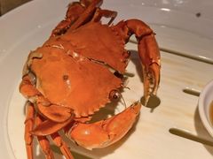 -红盔甲·小龙虾(车公庙店)