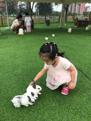 -萌宠亲子动物乐园(槐房万达店)