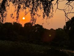 -灵山莲花公园-温泉度假区