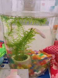 -芙贝佳禾·痘肌管理中心