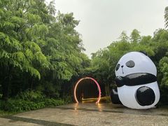 -苏州太湖国家湿地公园