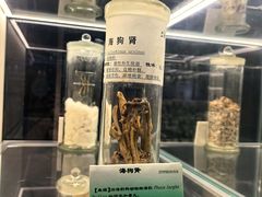 -广东中医药博物馆