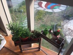 -Dark Horse·黑马蛋糕·低脂·低糖淡奶(金匙望湖大厦店)