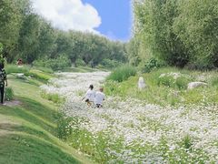 -汉长安城未央宫国家考古遗址公园